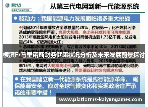 横滨F·马里诺斯财务健康状况分析及未来发展前景探讨