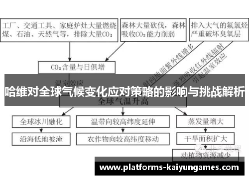 哈维对全球气候变化应对策略的影响与挑战解析