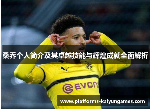 桑乔个人简介及其卓越技能与辉煌成就全面解析