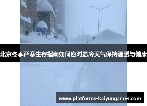 北京冬季严寒生存指南如何应对最冷天气保持温暖与健康