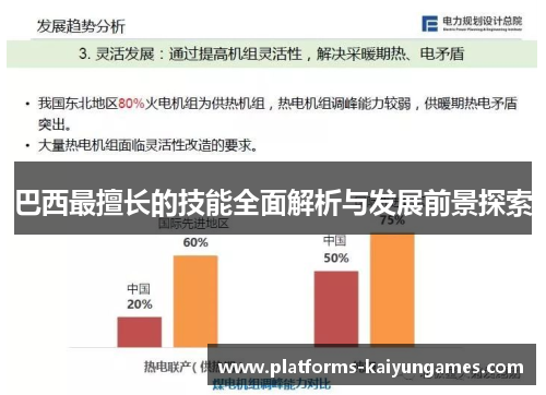 巴西最擅长的技能全面解析与发展前景探索