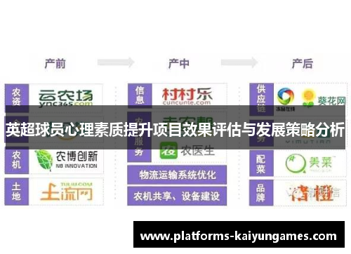 英超球员心理素质提升项目效果评估与发展策略分析