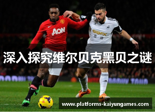 深入探究维尔贝克黑贝之谜