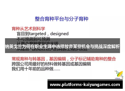 纳英戈兰为何在职业生涯中选择放弃某些机会与挑战深度解析