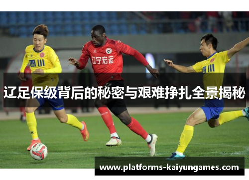 辽足保级背后的秘密与艰难挣扎全景揭秘