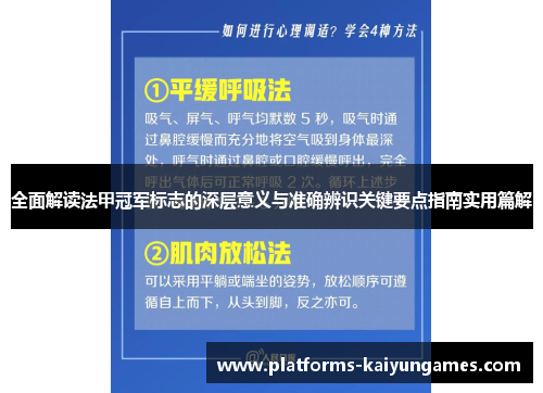 全面解读法甲冠军标志的深层意义与准确辨识关键要点指南实用篇解 全面解读法甲冠军标志的深层意义与准确辨识关键要点指南实用篇解