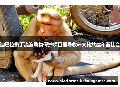 迪巴拉携手流浪动物保护项目倡导收养文化共建和谐社会 迪巴拉携手流浪动物保护项目倡导收养文化共建和谐社会